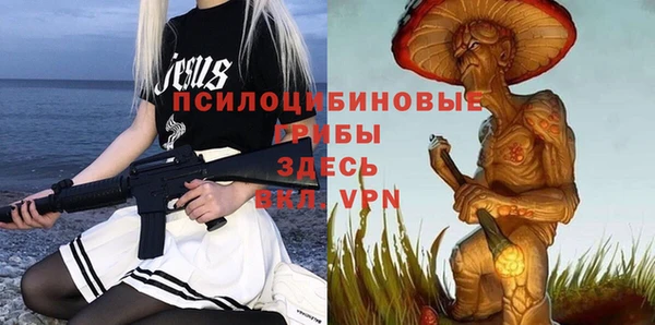 бошки Арсеньев